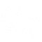 All About Concussions